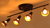 Fortune ceiling lanp