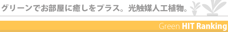 �l�H�ϗt�A���̃����L���O
