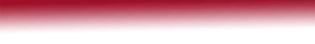 おトクなセール開催中！