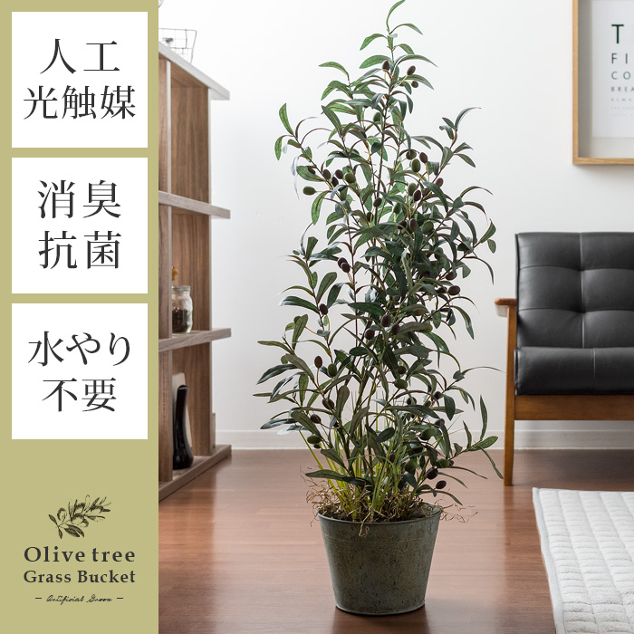 人工観葉植物 Olive tree Grass Bucket(オリーブツリーグラスバスケット) 【公式】 エア・リゾーム インテリア・家具通販