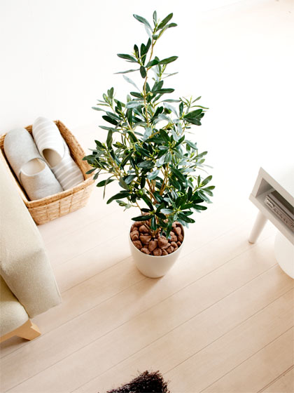 光触媒人工植物Olive(オリーブ)