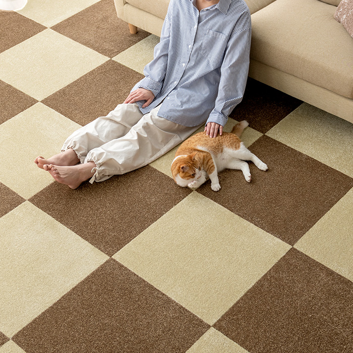 猫と人がカーペットでくつろぐ
