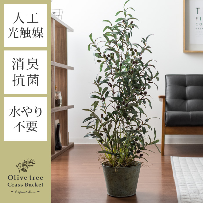 人工観葉植物 Olive tree Grass Bucket（オリーブツリーグラスバスケット）