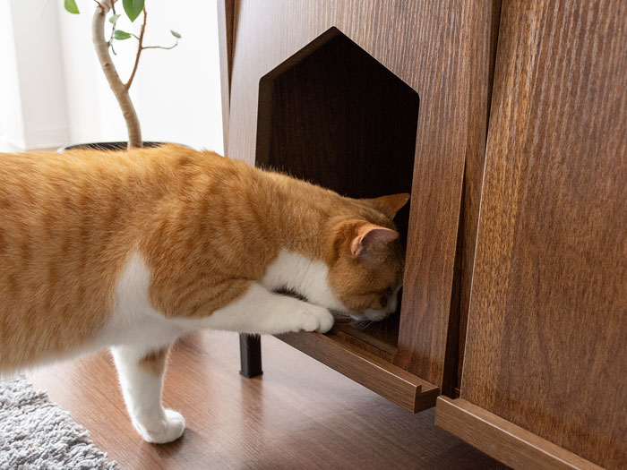 フラップ扉で生活感の出る猫用トイレをすっきり隠せる