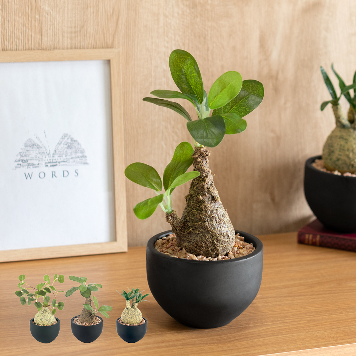 消臭アーティフィシャルグリーン　コーデックス　Lサイズ