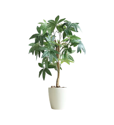 人気の観葉植物・光触媒はこちらから。家具・インテリア通販