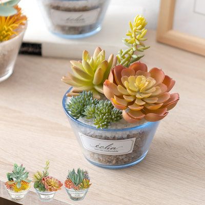 光触媒 フェイクグリーン 通販 観葉植物 人工観葉植物 ポット 鉢植え CMポット インテリアグリーン イミテーショングリーン 消臭 抗菌 防カビ 屋内 室内 おしゃれ かわいい 玄関 リビング 贈り物 ギフト 新生活 インテリア 雑貨 ケーアイジャパン 即日発送 インテリア