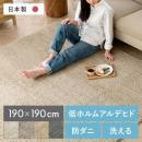 [190×190/正方形] 高機能シンプルデザインラグ エクリュ  洗える マット ラグマット 洗濯 ウォッシャブル 防ダニ シャギーラグ 日本製 カーペット 北欧 おしゃれ かわいい ホットカーペット対応 床暖房 滑り止め おうち時間 低アレルゲン アレルブロック 安全 安心 敏感肌 肌に優しい 素肌 赤ちゃん ペット シンプル ライン 低ホルムアルデヒド 正方形 190×190 【5%OFFクーポン対象|公式なら毎日お得】 
