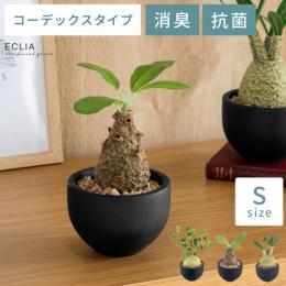 消臭アーティフィシャルグリーン 【コーデックス Sサイズ】 塊根植物 コーデックス  フェイクグリーン 人工観葉植物 CT触媒 造花 人工植物  消臭 抗菌 水やり不要 グリーン 緑 お手入れ不要 枯れない かわいい  【送料あり】 詳細はこちら  