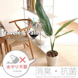 光触媒 人工観葉植物 トラベラーズパーム グリーン