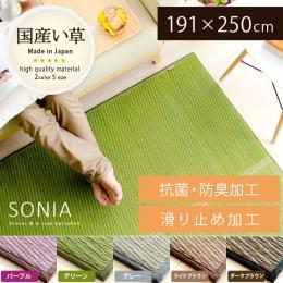 [191×250/長方形] い草ラグ 国産  SONIA〔ソニア〕 グリーン パープル グレー ダークブラウン ライトブラウン