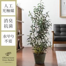 光触媒人工植物 オリーブ 観葉植物 グリーン 106cm 人工観葉植物 Olive tree Grass Bucket〔オリーブツリーグラスバスケット〕