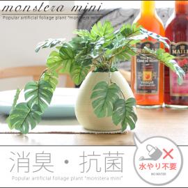 光触媒 人工観葉植物 MONSTERA mini  〔モンステラミニ〕  【送料あり】 詳細はこちら  