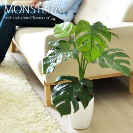 光触媒 人工観葉植物 モンステラ