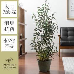 人工観葉植物 Olive tree Grass Bucket(オリーブツリーグラスバスケット)