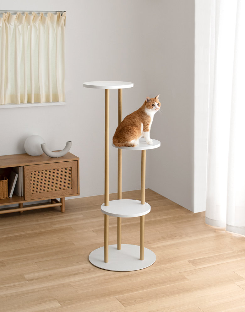 ペット　レイアウト用品 人気のペット用品はこちら。キャットタワーやベッドも販売中。家具