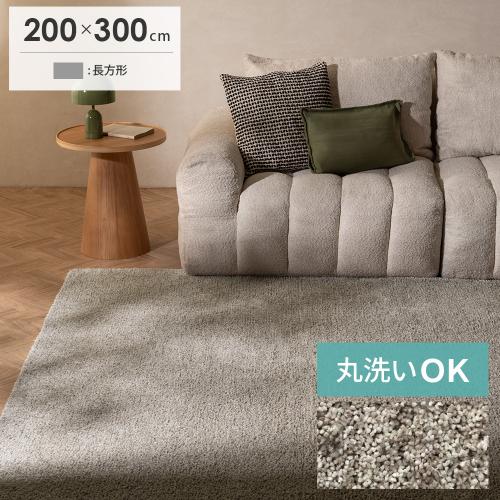 洗えるマイクロファイバーシャギーラグ ミックスカラー 200x300cm