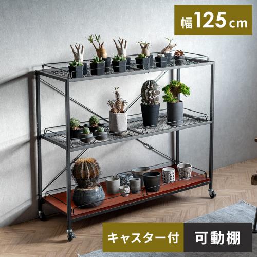 ヴィンテージ調ボタニカルラック BILLS(ビルズ)125cm幅