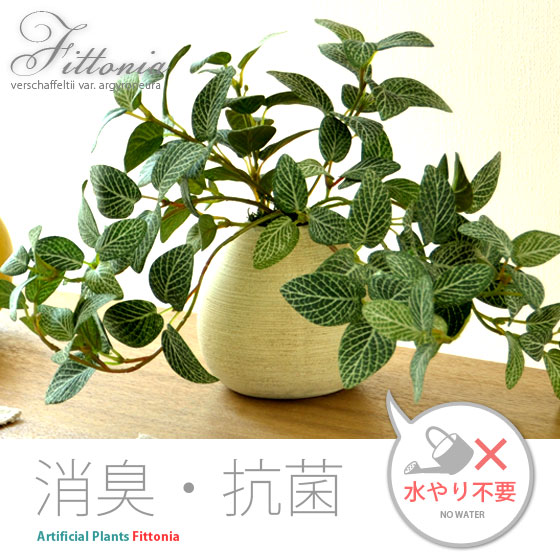 観葉植物・ 光触媒 | エアリゾーム【公式】 家具・インテリア通販